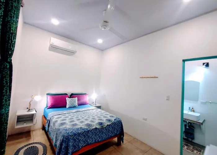 Casajungla Hostel